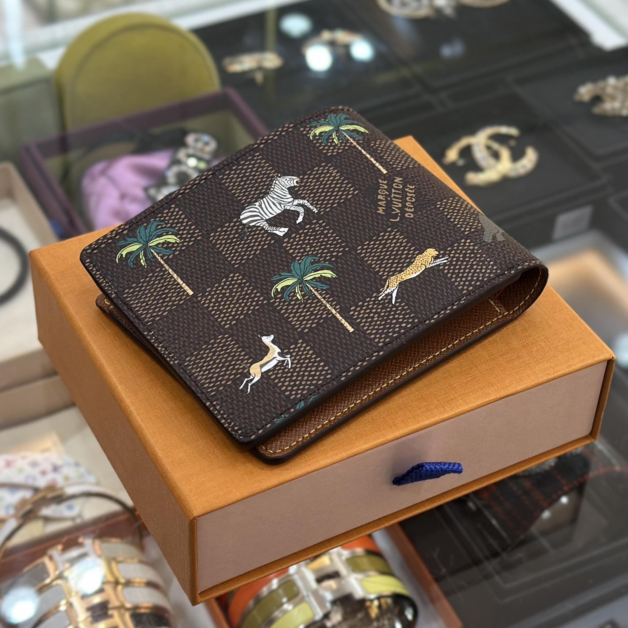 LOUIS VUITTON x The Darjeeling Limited Multiple Wallet (3)
