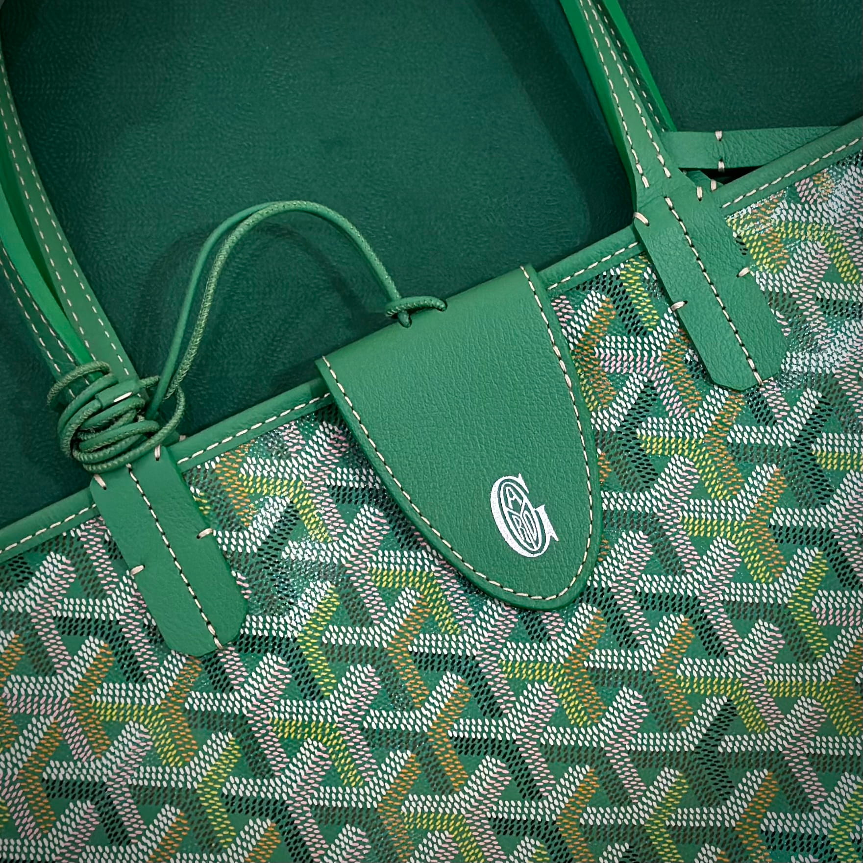 GOYARD 2026 Limited Edition Saint Louis PM Bag Meadow Green (2)