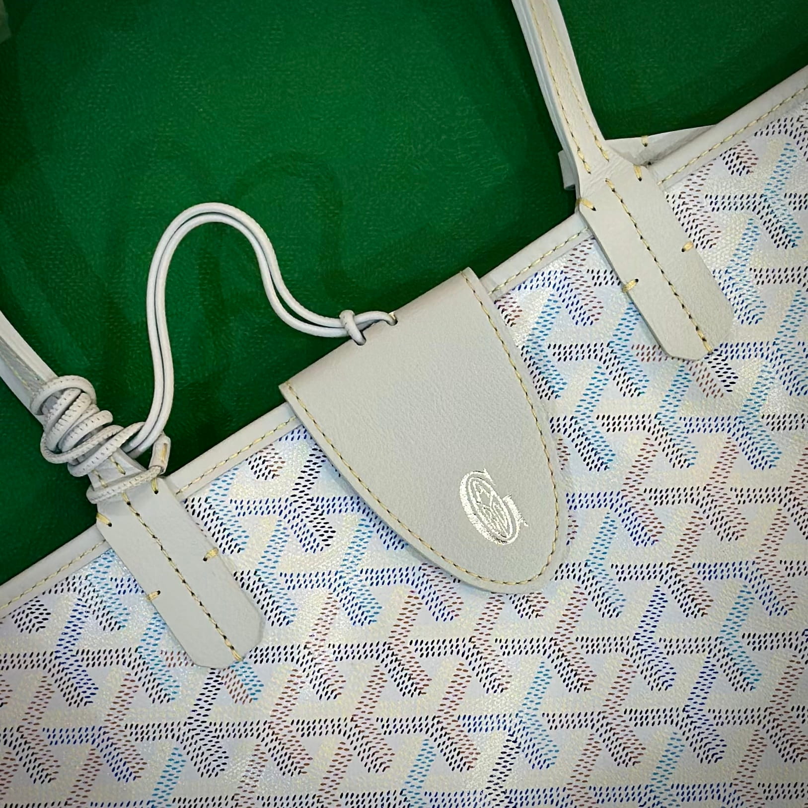 GOYARD 2026 Limited Edition Multicolored Saint Louis PM Bag Polar Blue (2)